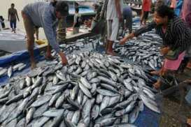 Industri Pengalengan Ikan Dipacu Kuasai Pasar Domestik